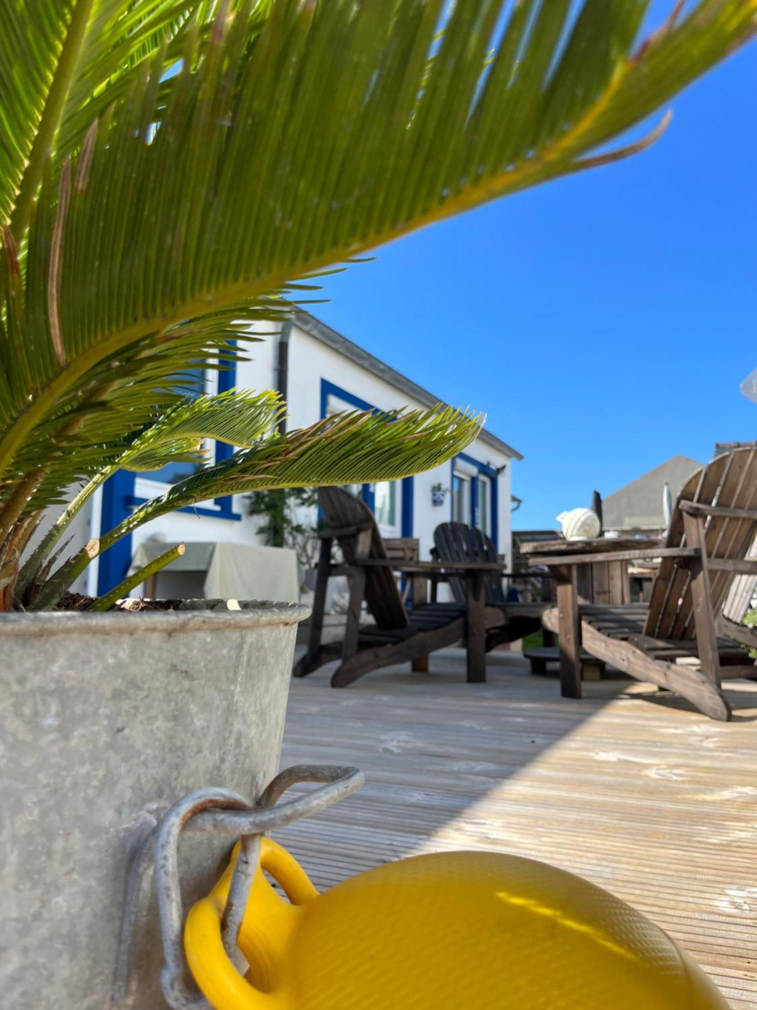 L'Atelier De Mezareun Bed and Breakfast Ushant Buitenkant foto